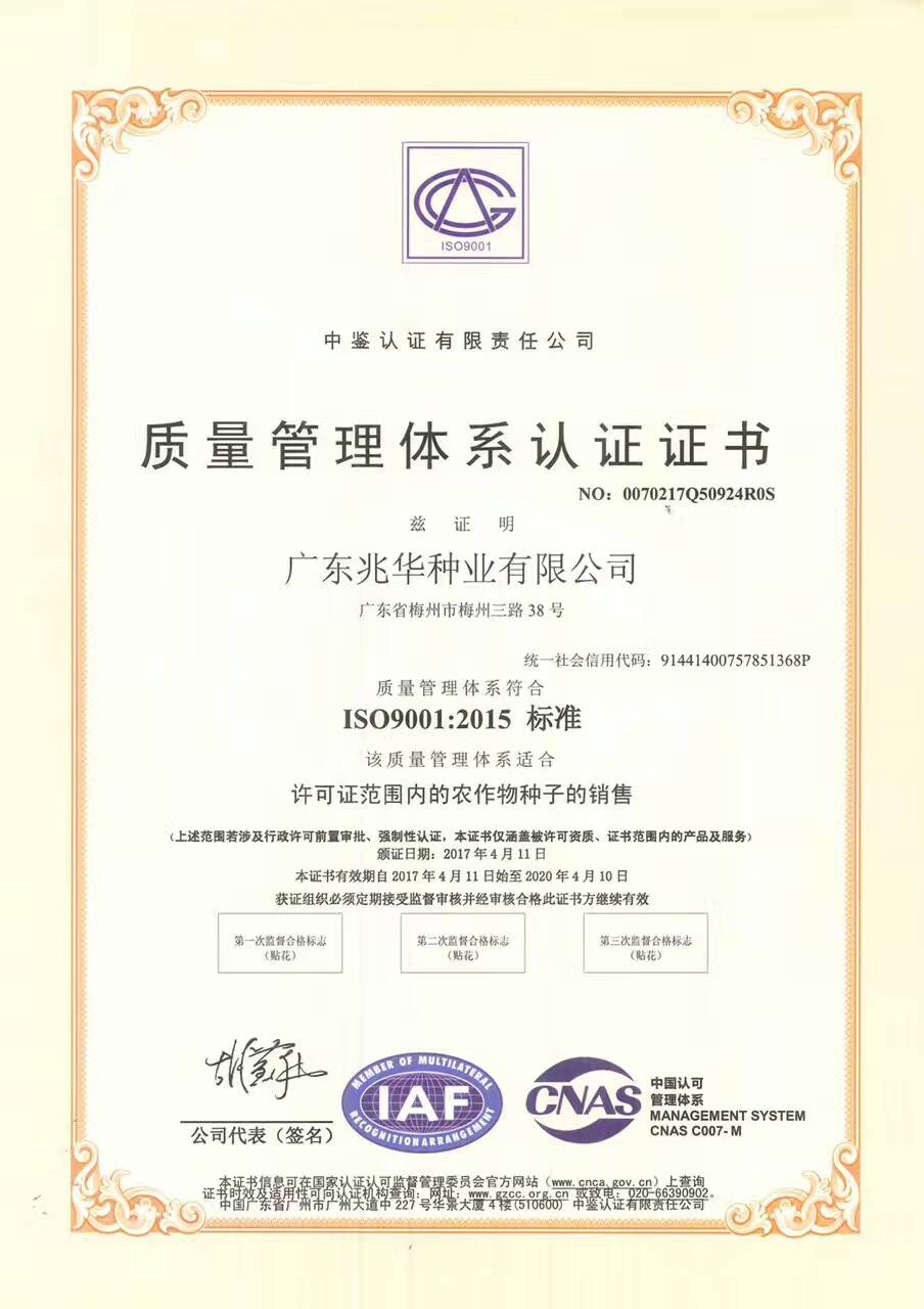 熱烈祝賀廣東兆華種業(yè)有限公司順利通過ISO9001質(zhì)量體系認(rèn)證！
